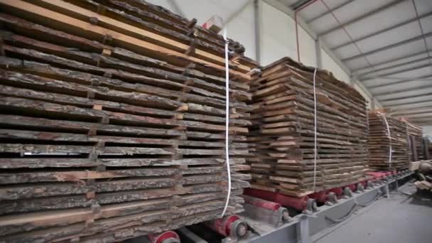 Almacén para barras de madera cuadradas procesadas. Muchas piezas de madera apiladas juntas — Vídeo de stock