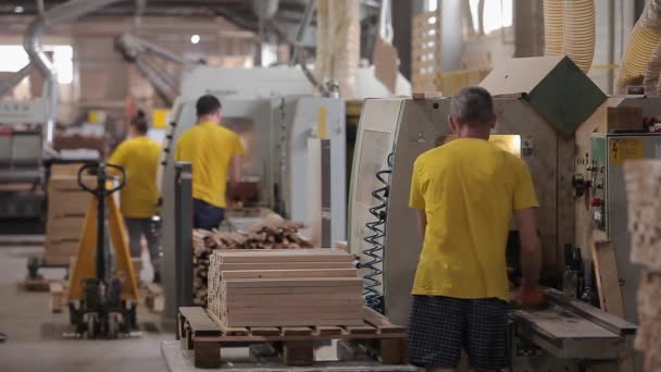 Ένας εργαζόμενος φορτώνει ξύλινους κύβους στο μηχάνημα για επεξεργασία. Ροή εργασίας σε εργοστάσιο επίπλων — Αρχείο Βίντεο