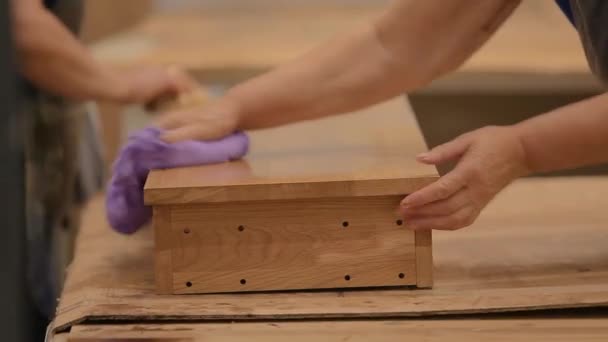 Verniciatura per mobili. Verniciatura manuale. Una donna dipinge prodotti in legno in una fabbrica di mobili. — Video Stock