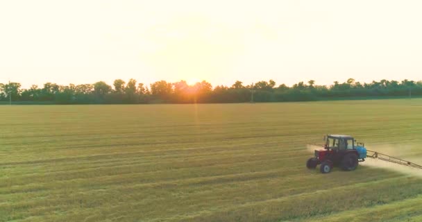 Lefújni egy mezőt búzaképpel egy drónról. A traktor gyomirtóval permetezi a búzát. A traktor permetezi a búzamezőket.. — Stock videók