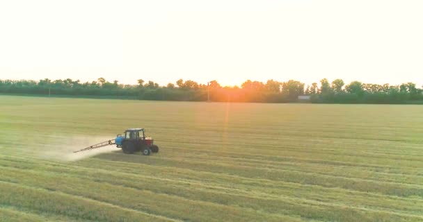 Een tractor besproeit tarwe met herbiciden. De trekker besproeit de tarwevelden. Een veld besproeien met uitzicht op tarwe van een drone — Stockvideo