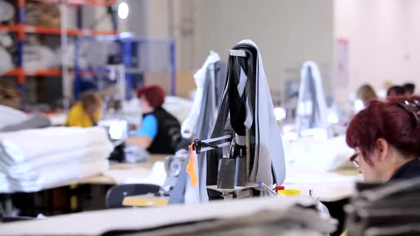 Krawcowa pracuje w fabryce odzieży. Produkcja tekstylna. proces roboczy. Szycie profesjonalnego sprzętu — Wideo stockowe