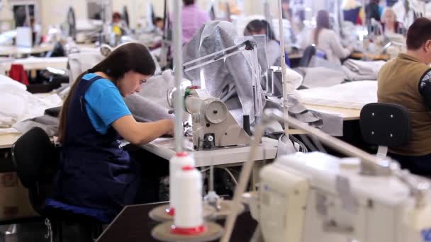 Grote naaiatelier. naaisters maken kleren in een fabriek. Kleding fabriek. Werkplaats voor kledingproductie — Stockvideo