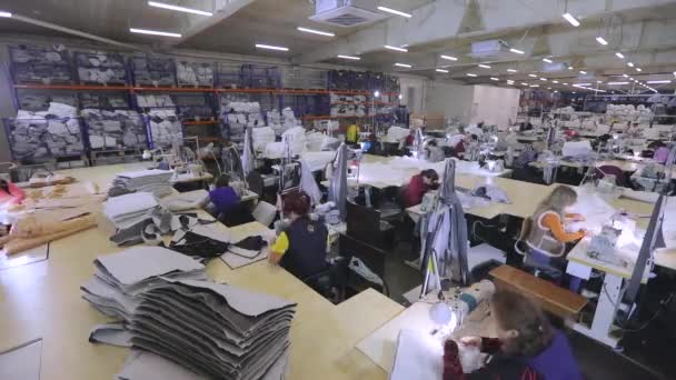 There are many seamstresses in the workshop during time laps. Women in the sewing industry. A large sewing production of time laps. Garment factory interior. — 图库视频影像