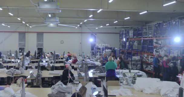 Gran producción de costura. Hay muchas costureras en el taller. Interior de la fábrica de ropa. Mujeres en la industria de la costura — Vídeos de Stock