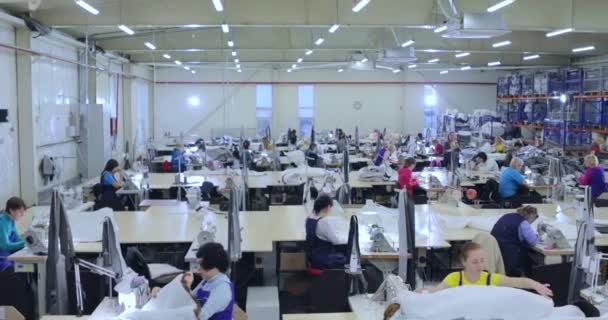 Muchas costureras trabajan en una fábrica de ropa. Proceso de trabajo en una fábrica de prendas de vestir. Gran taller de costura. Las costureras fabrican productos en una fábrica. Fábrica de ropa — Vídeos de Stock