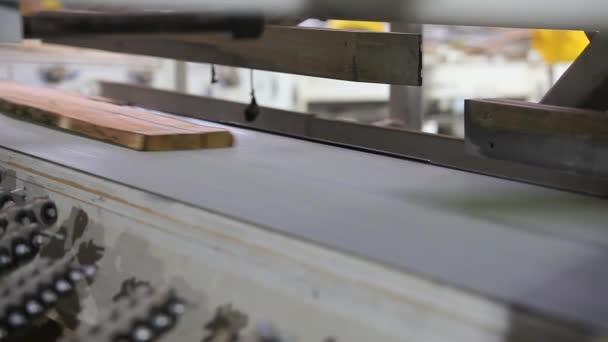 Processus de production de panneaux de meubles. Courroie transporteuse automatisée dans une usine de meubles. Ligne de production automatisée dans une usine de meubles. — Video