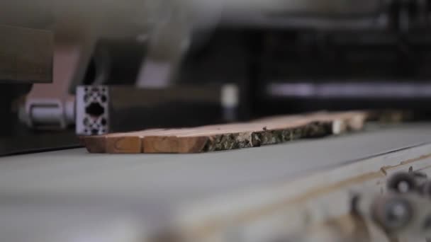 Автоматизована виробнича лінія на меблевому заводі. Процес виробництва меблевої дошки. Автоматизований конвеєрний пояс на меблевій фабриці — стокове відео