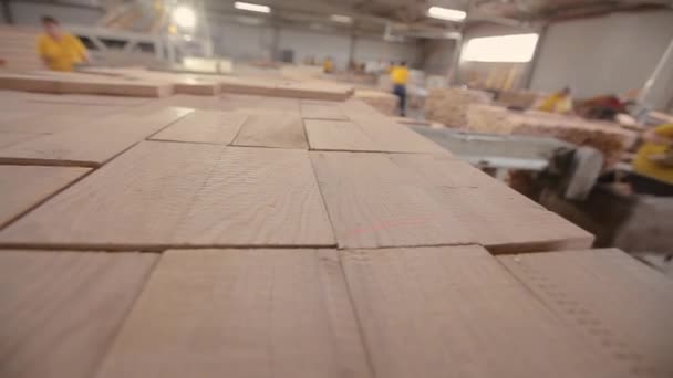 Detailní záběr Příprava tyčí pro výrobu nábytkových desek. Spousta kousků dřeva pohromadě. Skladiště pro hranaté zpracované dřevěné tyče close-up. — Stock video