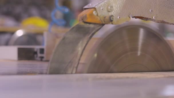 Automatisiertes Sägen von Rundholz. Eine automatische Maschine sägt ein Stück Holz. Automatisierte Linie in der Möbelproduktion — Stockvideo