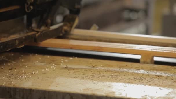 Обработка деревянных заготовок на конвейерной линии. Автоматизированная производственная линия в современном производстве — стоковое видео