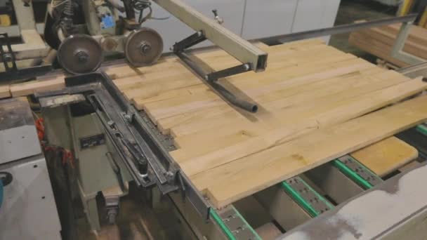 Geautomatiseerde productielijn in een meubelfabriek. Productie van meubelplaten. Automatische transportband in een meubelfabriek — Stockvideo