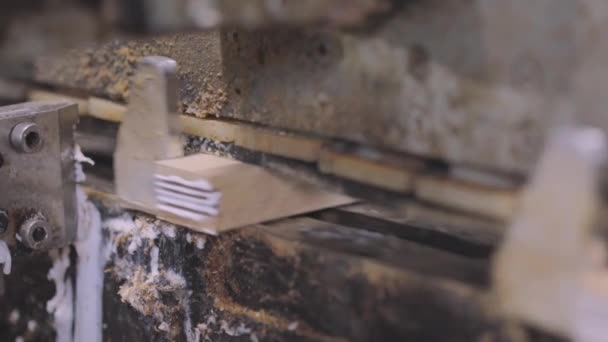 La macchina diffonde colla sul bordo del blocco di legno. Linea di produzione automatizzata in una fabbrica di mobili — Video Stock