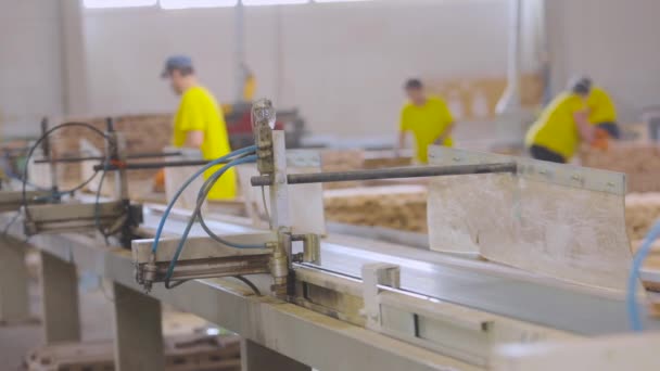 Οι εργάτες φτιάχνουν ξύλινα τουβλάκια σε εργοστάσιο επίπλων. Εργαζόμενοι στη γραμμή μεταφοράς ενός εργοστασίου επίπλων. Διαλογή άσφαιρων ξύλων σε εργοστάσιο επίπλων — Αρχείο Βίντεο