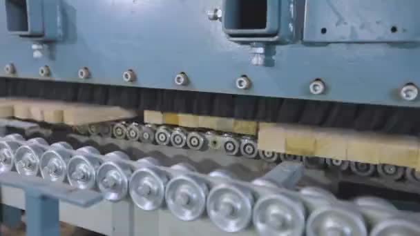 Memproses kayu kosong pada baris konveyor. Baris produksi otomatis dalam produksi modern — Stok Video