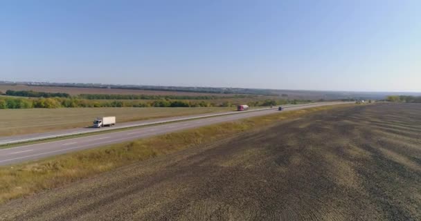 El camión conduce a lo largo de la carretera en medio de campos agrícolas vista superior. El camión conduce en la carretera, campos en el fondo — Vídeo de stock