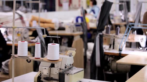 Large sewing workshop. seamstresses make clothes in a factory. Garment factory. Clothes production workshop — Vídeo de Stock