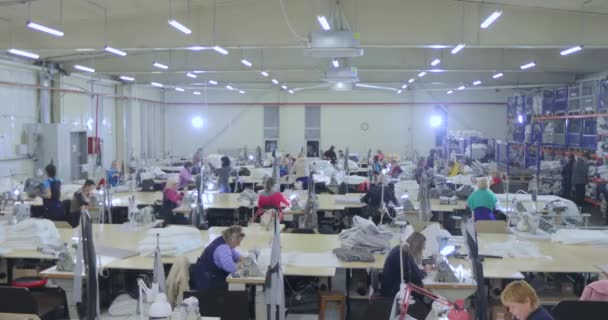 Una gran producción de costura de vueltas de tiempo. Hay muchas costureras en el taller. Interior de la fábrica de ropa. Mujeres en la industria de la costura — Vídeos de Stock