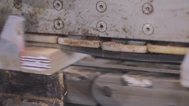 Makine ahşap bloğun kenarına yapıştırıcı sürer. Mobilya fabrikasında otomatikleştirilmiş üretim hattı — Stok video
