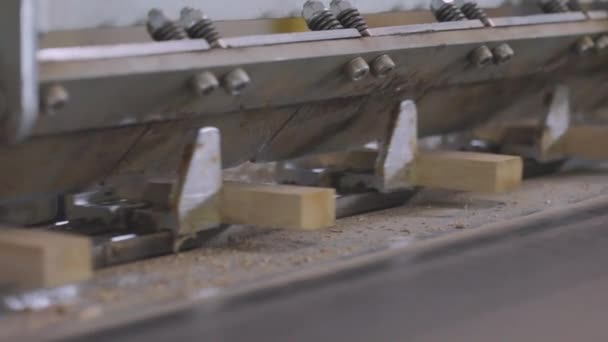 Produktionsprocess för möbelskivor. Automatiserad produktionslinje vid en möbelfabrik. Automatiskt transportband på en möbelfabrik — Stockvideo