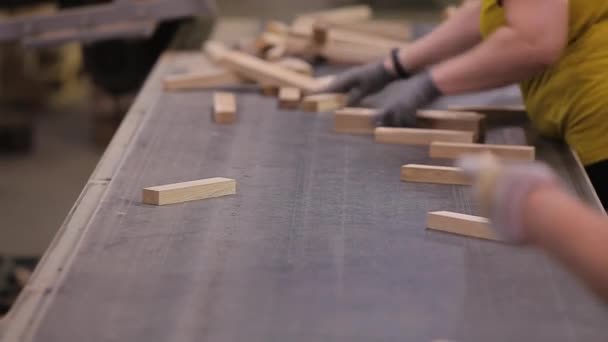 Люди працюють на конвеєрному поясі меблевої фабрики. Сортування дерев'яних заготовок на меблевій фабриці. Робочий процес на меблевій фабриці . — стокове відео