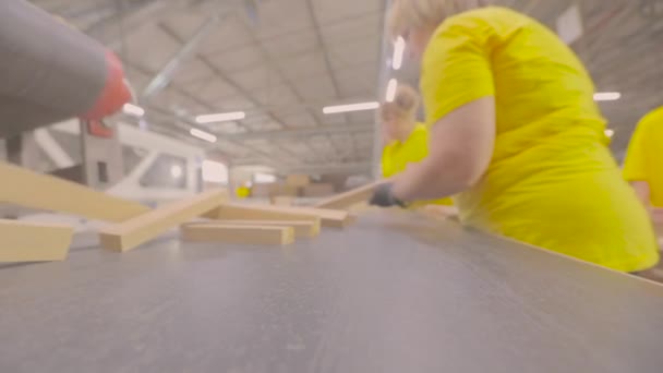 Працівники розбирають дерев'яні блоки на меблевій фабриці. Працівники на конвеєрній лінії меблевої фабрики. Сортування дерев'яних заготовок на меблевій фабриці — стокове відео