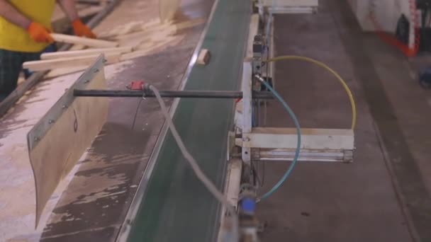 가구 보드 생산 과정. 가구 공장에서 자동화 된 컨베이어 벨트. 가구 공장에서의 자동 생산 라인. — 비디오