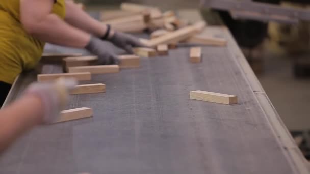 Trabajadores en la línea de transporte de una fábrica de muebles. Los trabajadores arreglan bloques de madera en una fábrica de muebles. Clasificación de espacios en blanco de madera en una fábrica de muebles — Vídeos de Stock