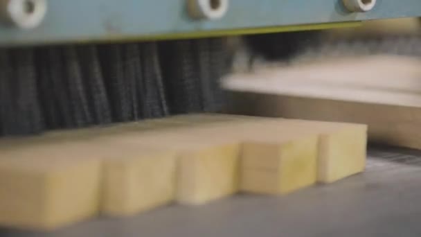 Автоматическая производственная линия в современном производстве. Обработка деревянных заготовок на конвейере. — стоковое видео