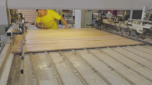 Proceso de producción de tableros de muebles. Cinta transportadora automatizada en una fábrica de muebles. Línea de producción automatizada en una fábrica de muebles. — Vídeos de Stock