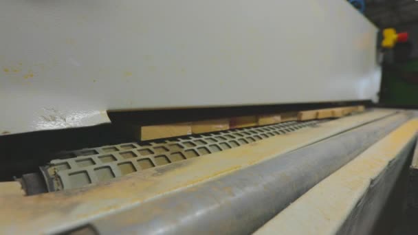 Procesamiento de espacios en blanco de madera en una línea transportadora. Línea de producción automatizada en producción moderna — Vídeo de stock