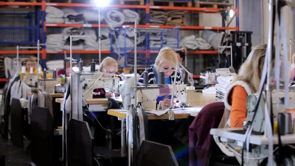 Una costurera trabaja en una fábrica de ropa. Producción textil. el proceso de trabajo. Costura en equipo profesional — Vídeo de stock