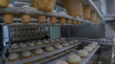 Dondurma fabrikası. Modern otomatikleştirilmiş dondurma üretim hattı. Dondurma üretim hattı