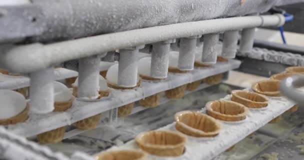 Produkcja lodów. Automatyczna produkcja lodów. Automatyczna linia do produkcji lodów — Wideo stockowe