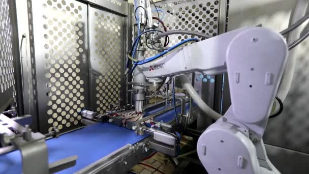 Průmyslový robot vyrábí zmrzlinu. Moderní výroba zmrzliny. Automatizovaná výroba zmrzliny. Zmrzlina na dopravní šňůře. Výrobní robot. Robotická výroba. — Stock video