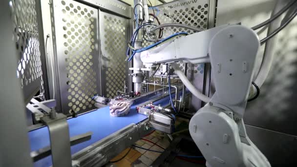 Robot produkcyjny. Produkcja robotów. Nowoczesna technologia w fabryce lodów. Robot przemysłowy. Nowoczesna produkcja lodów. Zautomatyzowany przenośnik w fabryce. — Wideo stockowe