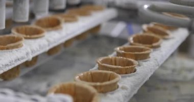 Dondurma üretimi. Otomatik dondurma üretimi. Otomatik dondurma üretim hattı