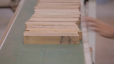 Mobilya fabrikasının taşıyıcı hattındaki işçiler. İşçiler bir mobilya fabrikasında ahşap blokları düzenlerler. Bir mobilya fabrikasında ahşap kurusıkı tasnif