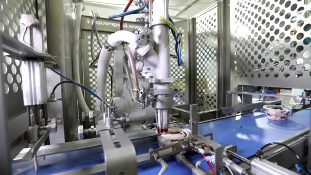 Modern production of ice cream. Automated production of ice cream. Ice cream on a conveyor line — Stock Video