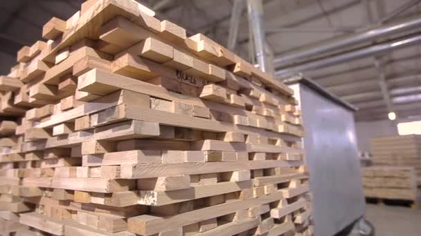 Wiele kawałków drewna ułożonych razem. Magazyn do kwadratowych sztabek drewnianych. Przygotowanie prętów do tworzenia płyt meblowych. — Wideo stockowe