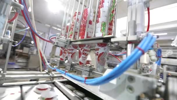 Jégkrémgyár. Fagylalt gyártósor. Modern automatizált fagylalt gyártósor. — Stock videók