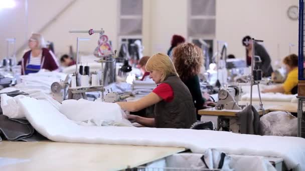 縫製工場では多くのストレスが働いています。衣類工場での作業プロセス。大きな縫製工房。シームレスは工場で製品を作る。衣服工場 — ストック動画