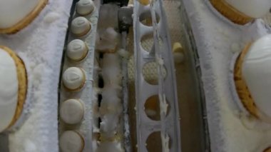 Otomatik dondurma üretimi. Otomatik dondurma üretim hattı. Dondurma üretimi.