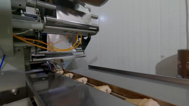 Producción de helados. Producción automatizada de helados. Línea de producción automatizada de helados — Vídeos de Stock