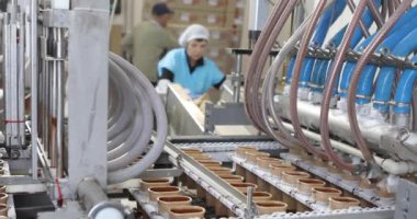 Otomatik dondurma üretim hattı. Dondurma üretimi. Otomatik dondurma üretimi.