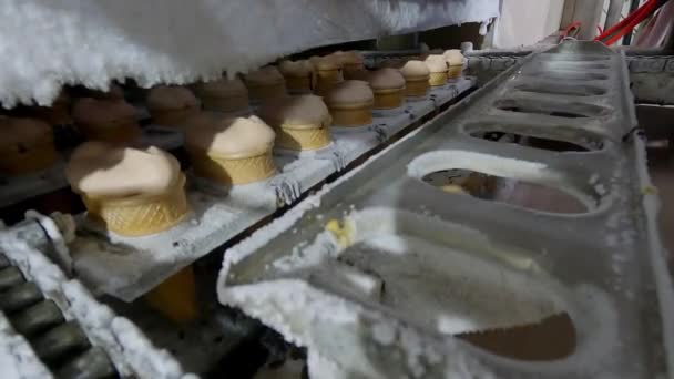 Produkce zmrzliny. Automatizovaná výroba zmrzliny. Automatizovaná linka na výrobu zmrzliny — Stock video