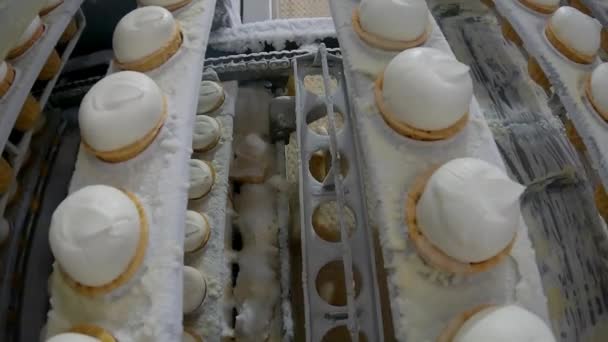Production de crème glacée. Production automatisée de crème glacée. Ligne de production automatisée de crème glacée — Video