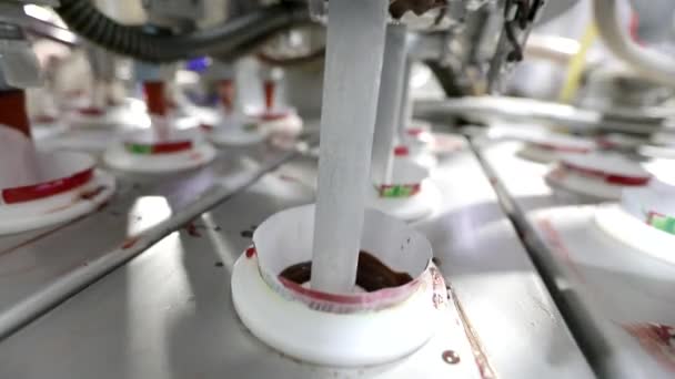 現代の自動アイスクリーム生産ライン。アイスクリーム工場だ。アイスクリーム製造ライン — ストック動画