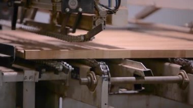 Mobilya üretim süreci. Mobilya fabrikasında otomatik taşıma bandı. Mobilya fabrikasında otomatikleştirilmiş üretim hattı.