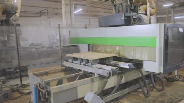 Machine de travail du bois CNC. Fraisage d'une planche en bois. équipement industriel moderne. Sculpture automatisée sur bois — Video